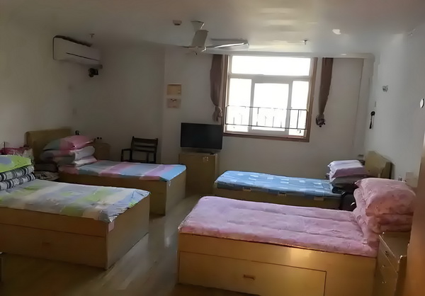 深圳人才引进落户政策 本科_舒淇导演首作入围威尼斯主竞赛单元，黄渤《浪浪人生》定档12月 危及甚至安全国家还会